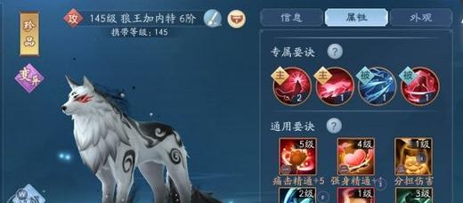 新笑傲江湖寻龙探宝怎么玩？有哪些技巧和常见问题解答？