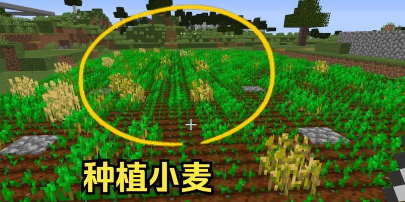 我的世界中如何进行有效的收获？收获技巧有哪些？