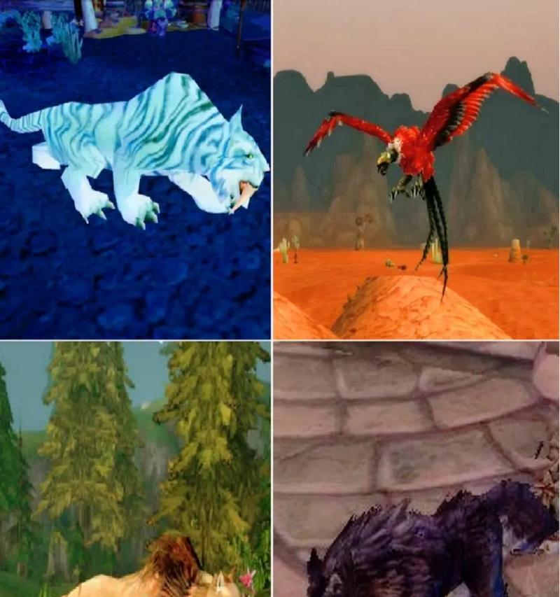 在魔兽中查看宠物属性的方法是什么？