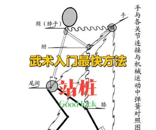 鸽子剑魂打桩快速技巧是什么？如何提升打桩速度？