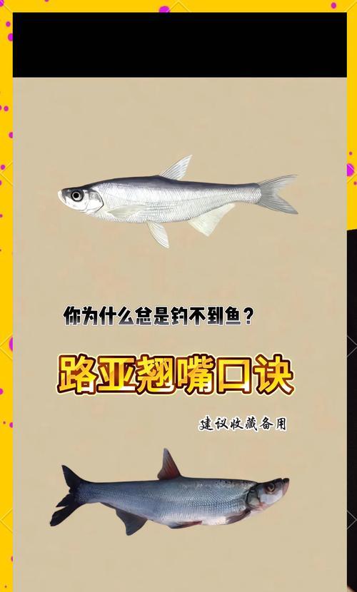 地下城钓鱼如何钓得大鱼？钓大鱼有什么技巧？